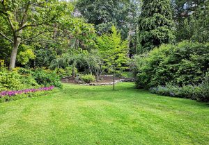 Optimiser l'expérience du jardin à Peyzieux-sur-Saone